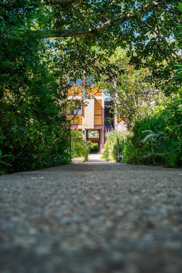 Hotel Casa De Agua à Tepoztlán Extérieur photo